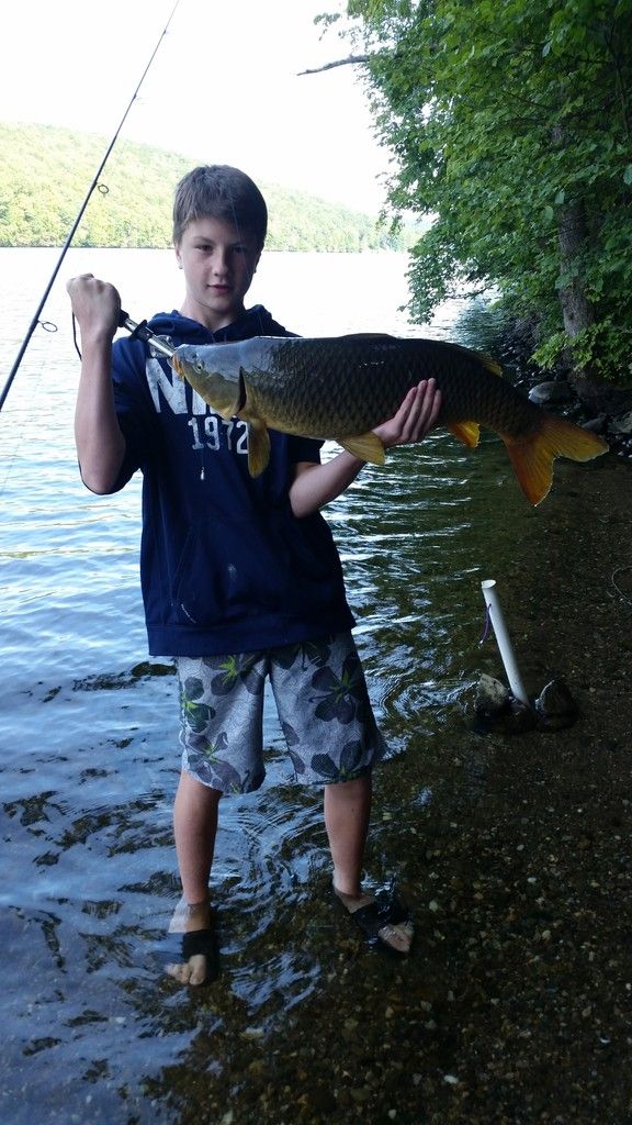 Trophy Size Carp (Lake Zoar) Connecticut River